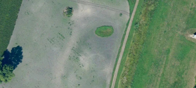 Inkster, ND 58244