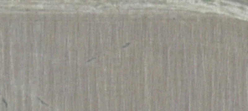 Lexington, NE 68850