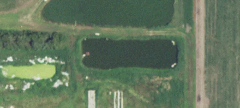 Clatonia, NE 68328