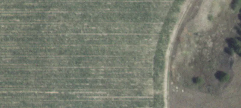 Maxwell, NE 69151