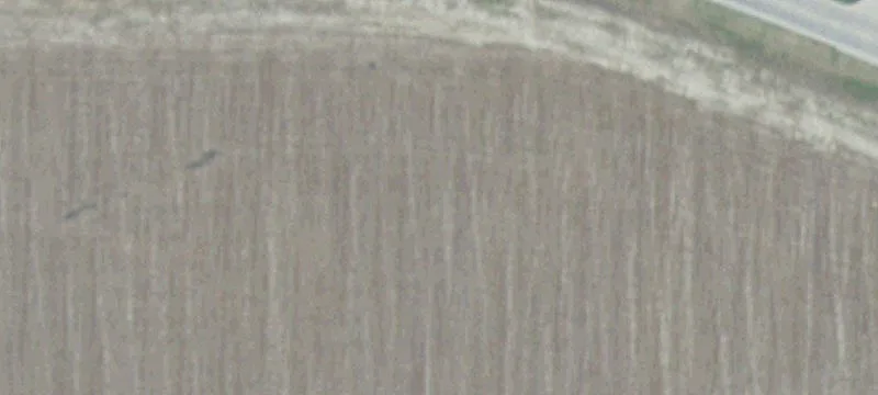 Lexington, NE 68850