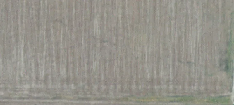 Lexington, NE 68850