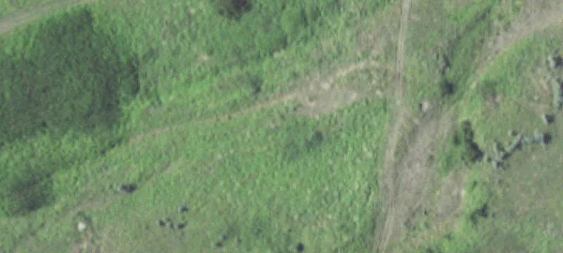 9775 Alda Rd