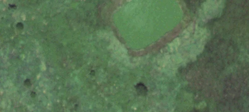 Ceresco, NE 68017