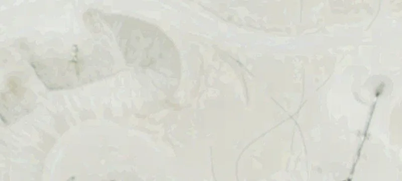 Waterloo, NE 68069