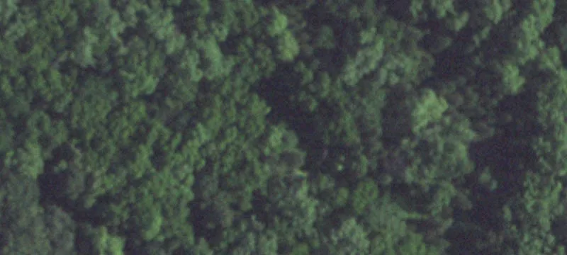 Morse Bluff, NE 68648