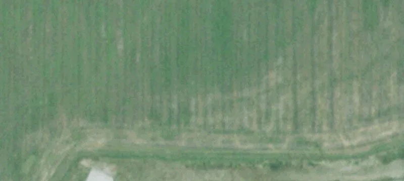 York, NE 68467