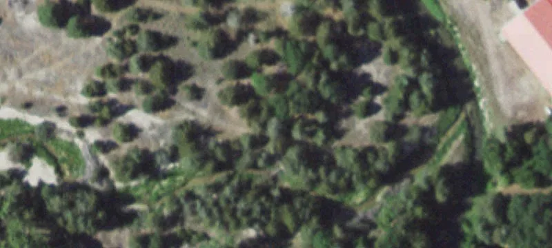 87979 Red Wing Rd