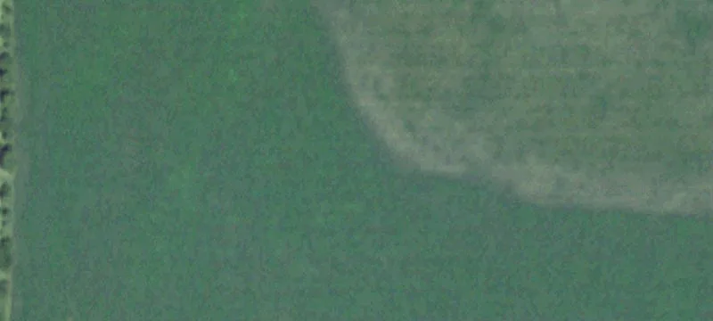 York, NE 68467