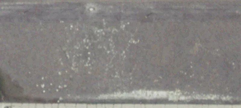 Sidney, NE 69162
