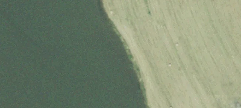 1136 State Hwy 41