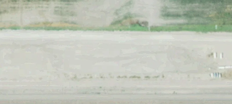 Utica, NE 68456