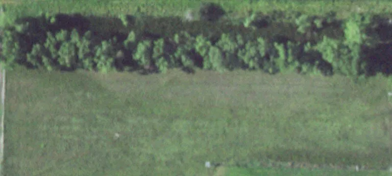 Wood River, NE 68883