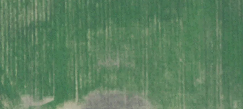 Bellwood, NE 68624