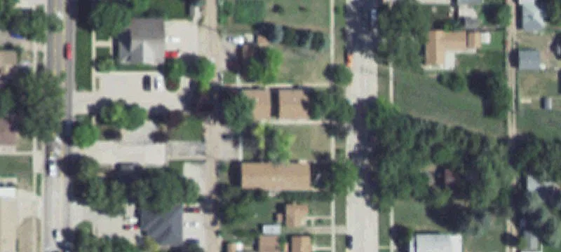Sycamore