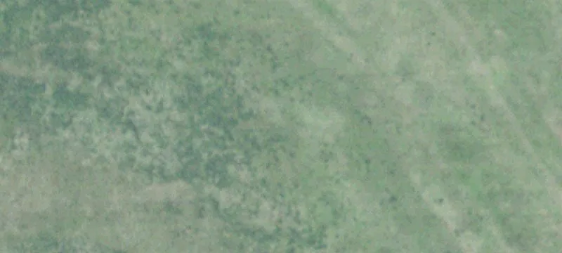 Columbus, NE 68601