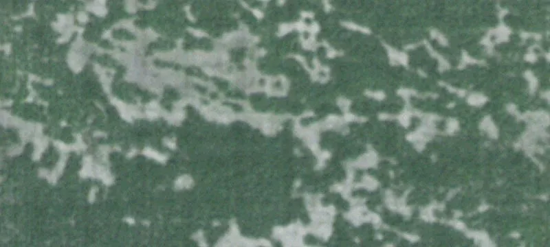 Norfolk, NE 68701