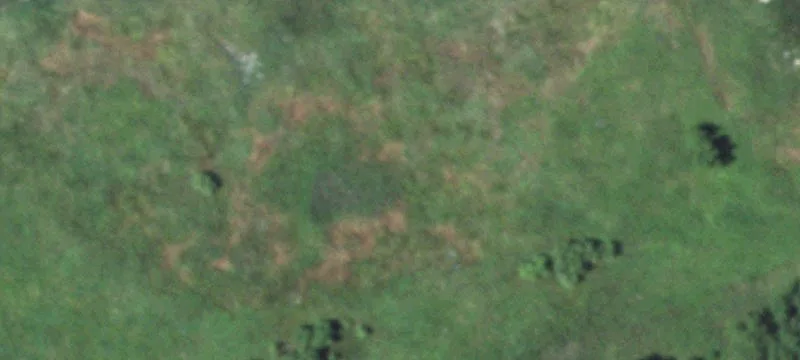 Bassett, NE 68714