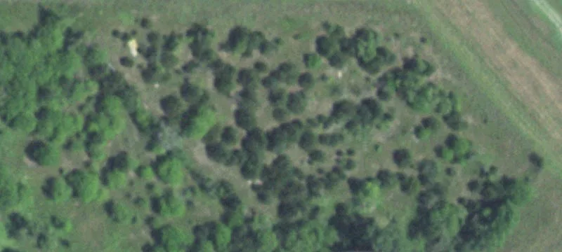 Schuyler, NE 68661