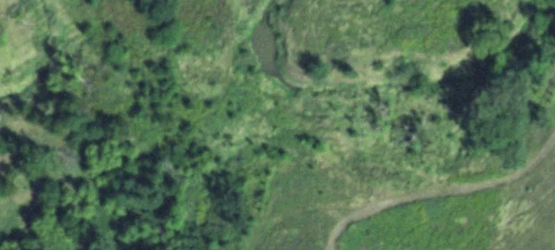 Battle Creek, NE 68715
