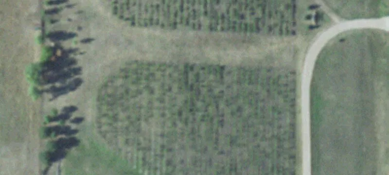 Hartington, NE 68739