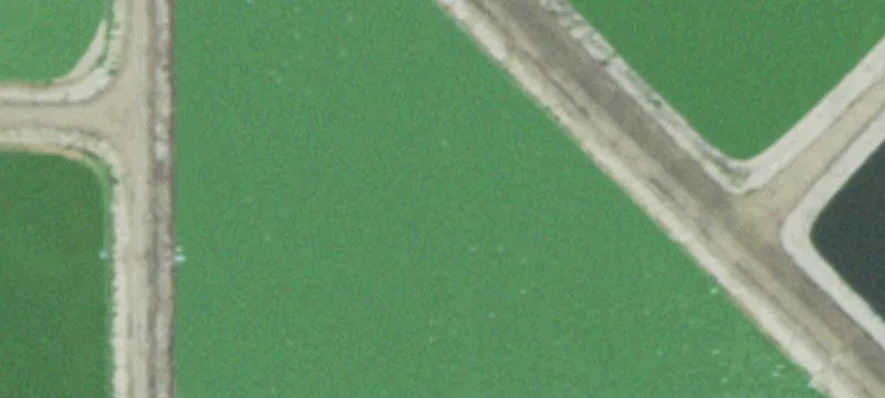 Wakefield, NE 68784