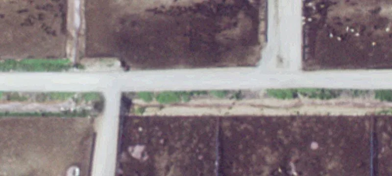 Juniata, NE 68955