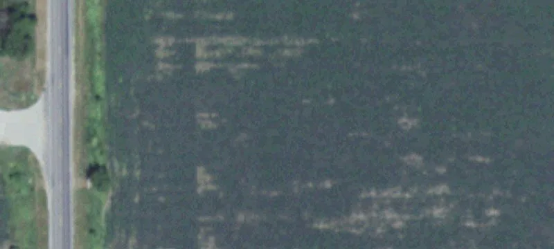 Lexington, NE 68850