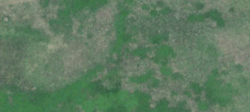 Kenesaw, NE 68956