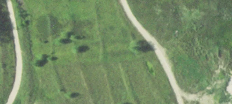 53740 823rd Rd