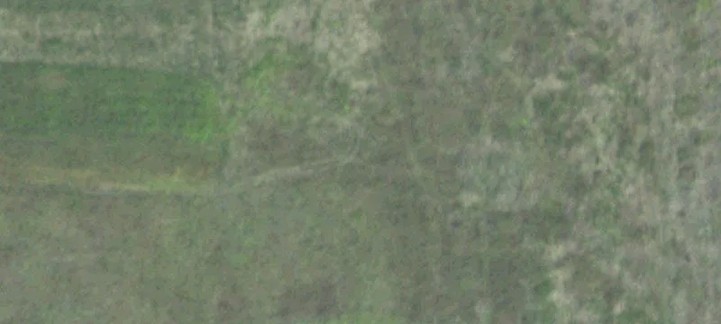 Battle Creek, NE 68715