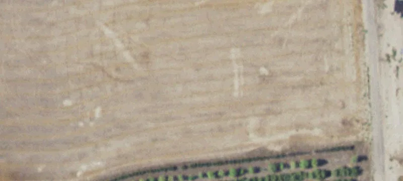 75985 Rd 329