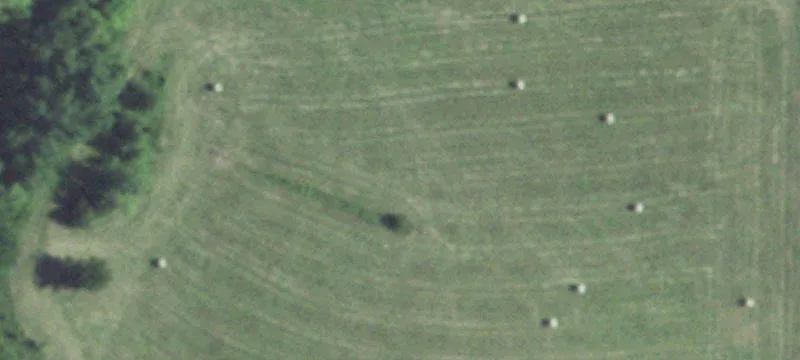 Beatrice, NE 68310