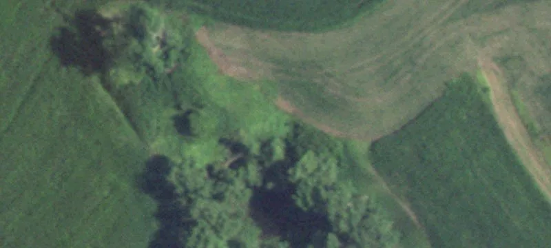 Cortland, NE 68331