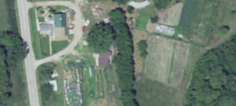 Shelton, NE 68876