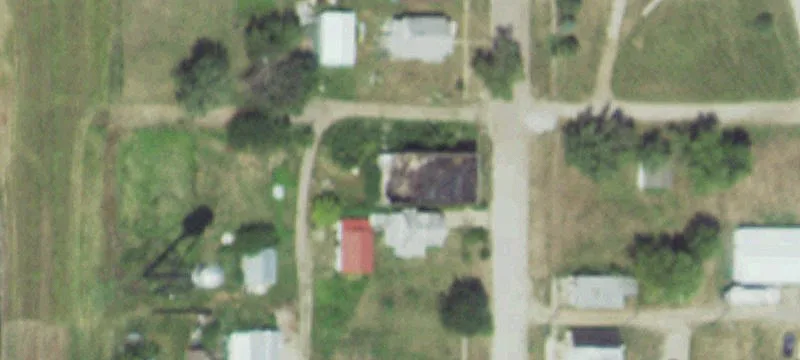 Elkhorn