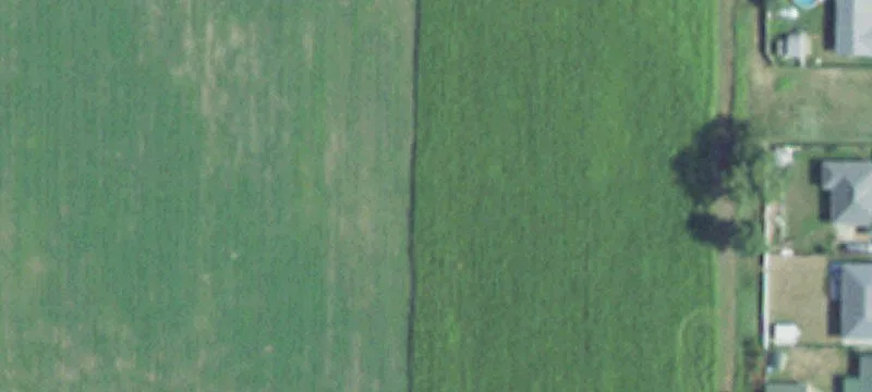 Homer, NE 68030