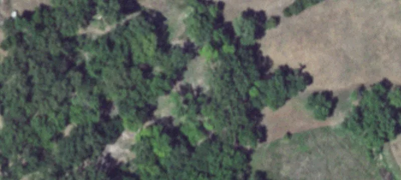 Pleasanton, NE 68866