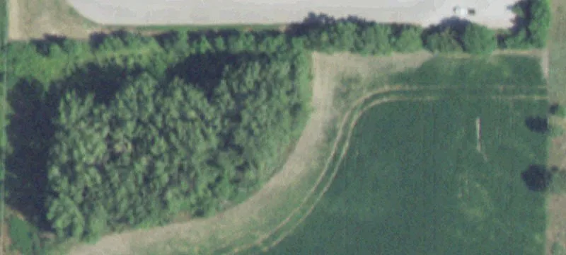 Jackson, NE 68743