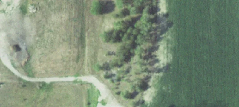 Saint Edward, NE 68660