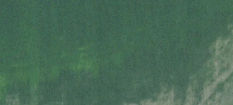 Chapman, NE 68827