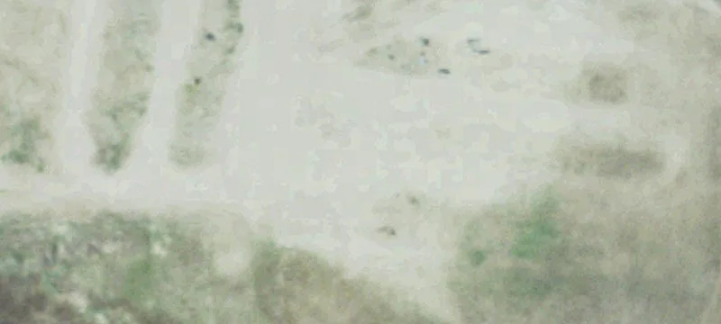 Hartington, NE 68739