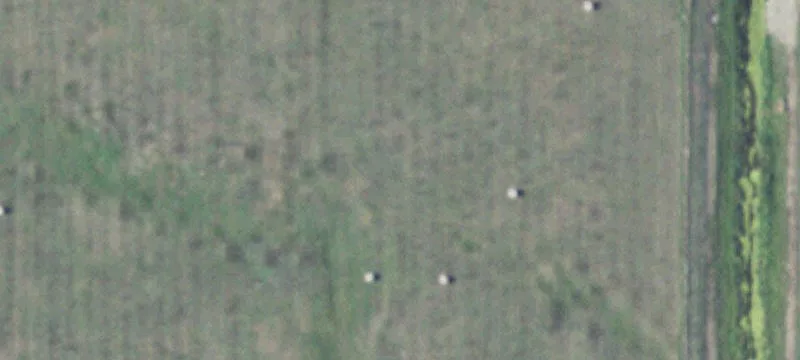 Gothenburg, NE 69138