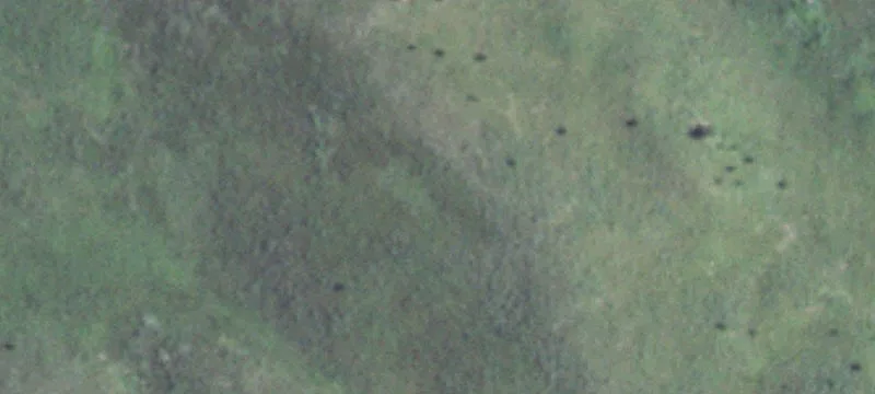 Burwell, NE 68823