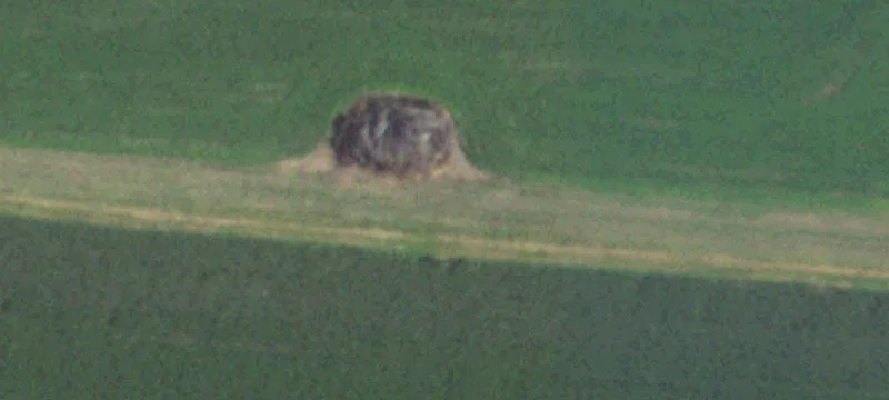 Roca, NE 68430