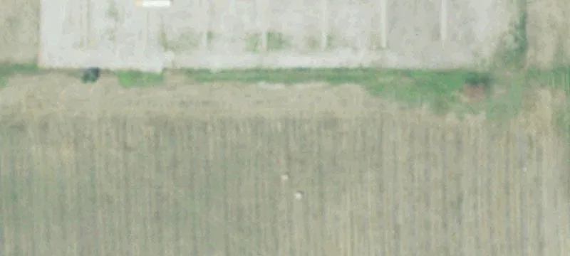 Columbus, NE 68601