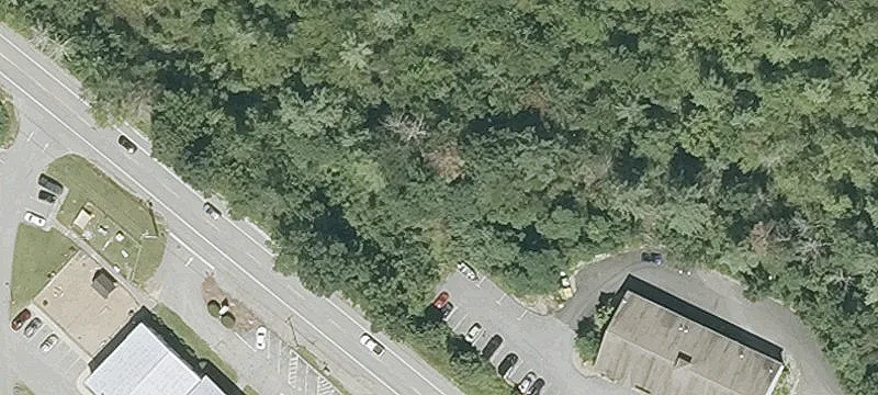 203 Londonderry Tpke