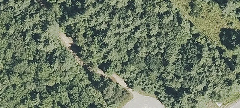 52 Locke Rd