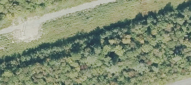 338 Percy Rd