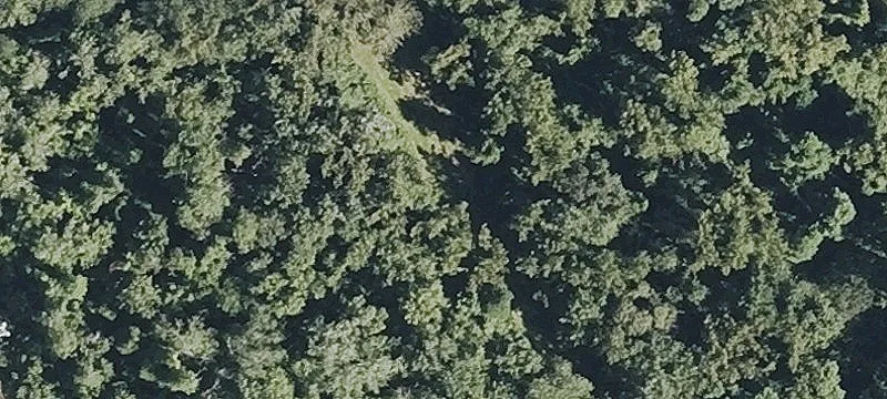 Horseshoe Pond Ln